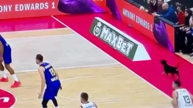 ¡Sorprendente! Un perro burla la seguridad en pleno juego de Euroliga ¡Sorprendente! Un perro burla la seguridad en pleno juego de Euroliga