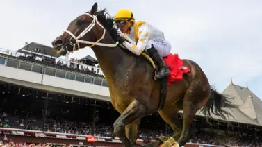 Conoce lo que informa Javier Castellano acerca del briseo de Ferocious en Keeneland Conoce lo que informa Javier Castellano acerca del briseo de Ferocious en Keeneland