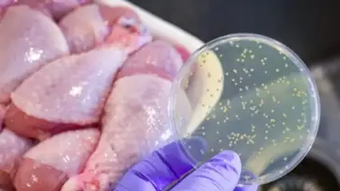 Alerta sanitaria: Retiro masivo de carne y pollo por contaminación (+Detalles) Alerta sanitaria: Retiro masivo de carne y pollo por contaminación (+Detalles)