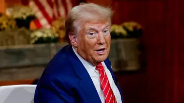 Elecciones en Estados Unidos: Conoce las celebridades que respaldan a Donald Trump Elecciones en Estados Unidos: Conoce las celebridades que respaldan a Donald Trump