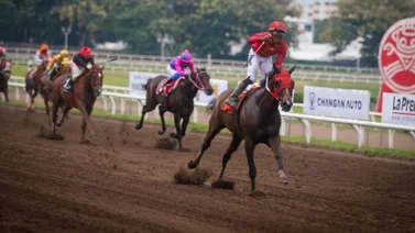 Veterana yegua venezolana gana carrera en hipódromo de Panamá
