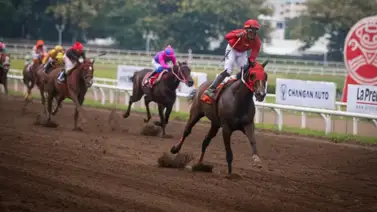 Veterana yegua venezolana gana carrera en hipódromo de Panamá Veterana yegua venezolana gana carrera en hipódromo de Panamá