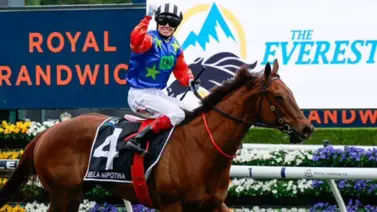 Conozca la yegua que ganó la carrera más rica del mundo sobre grama Conozca la yegua que ganó la carrera más rica del mundo sobre grama