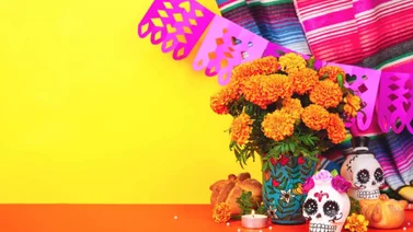 EEUU | Conozca los eventos donde se podrá celebrar el Día de Muertos en Chicago