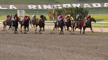 Conoce el último caballo argentino en ganar el Clásico Internacional Simón Bolívar en La Rinconada