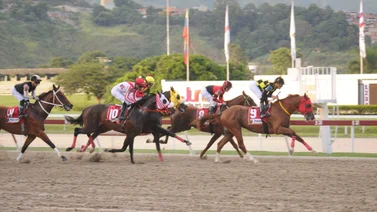 Esta es la nómina oficial del Clásico Internacional Simón Bolívar (GI) en La Rinconada en la R41