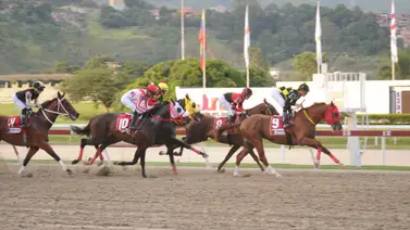 Esta es la nómina oficial del Clásico Internacional Simón Bolívar (GI) en La Rinconada en la R41 Esta es la nómina oficial del Clásico Internacional Simón Bolívar (GI) en La Rinconada en la R41