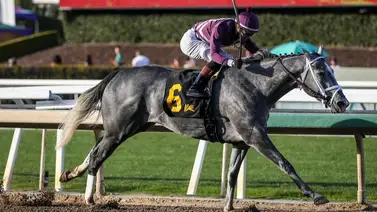 Yegua favorita no correrá la Breeders´Cup Filly & Mare Sprint Yegua favorita no correrá la Breeders´Cup Filly & Mare Sprint