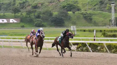 Hija de Champlain reaparece tras 84 días sin correr en La Rinconada Hija de Champlain reaparece tras 84 días sin correr en La Rinconada