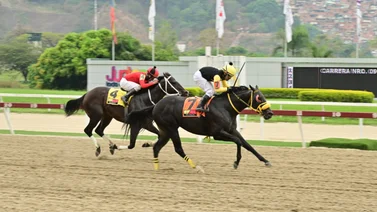 Tintorero reaparece luego de 84 días sin correr y buscará sorprender a una de las líneas del ciclo no válido en la R41