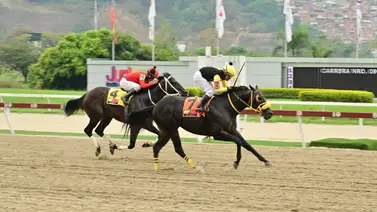 Tintorero reaparece luego de 84 días sin correr y buscará sorprender a una de las líneas del ciclo no válido en la R41 Tintorero reaparece luego de 84 días sin correr y buscará sorprender a una de las líneas del ciclo no válido en la R41