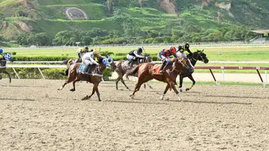 Yegua que fue dato corrido en su anteriores y no gana, reaparece después de 56 días sin correr Yegua que fue dato corrido en su anteriores y no gana, reaparece después de 56 días sin correr
