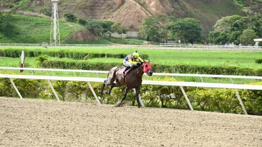 Caballo que fue capaz de ganar por nueve cuerpos reaparece este domingo en La Rinconada