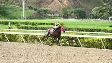 Caballo que fue capaz de ganar por nueve cuerpos reaparece este domingo en La Rinconada Caballo que fue capaz de ganar por nueve cuerpos reaparece este domingo en La Rinconada