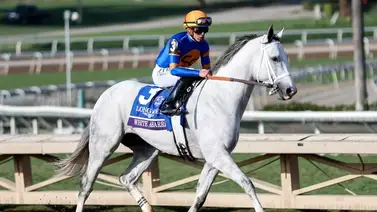 Breeders'Cup: Estos han sido los jockeys sudamericanos que han ganado la Breeders’ Classic Breeders'Cup: Estos han sido los jockeys sudamericanos que han ganado la Breeders’ Classic