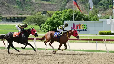 Padel reaparece luego de 63 días sin correr y buscará pasar la meta en ganancia en el Clásico Internacional Simón Bolívar (GI) Padel reaparece luego de 63 días sin correr y buscará pasar la meta en ganancia en el Clásico Internacional Simón Bolívar (GI)