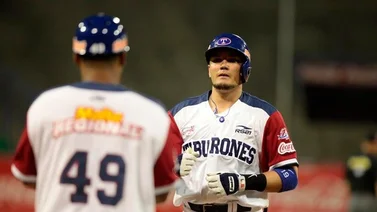 ¿Cuáles equipos de la LVBP se ven representados en la Serie Mundial?