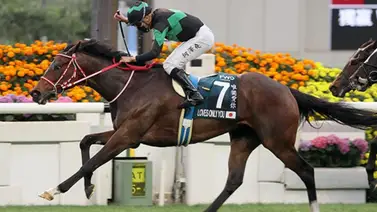 El récord que tratará de alcanzar un caballo japonés en la Breeders'Cup El récord que tratará de alcanzar un caballo japonés en la Breeders'Cup