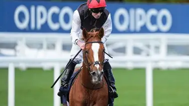 Este es el ejemplar que desplazó a City of Troy como el mejor caballo del mundo Este es el ejemplar que desplazó a City of Troy como el mejor caballo del mundo