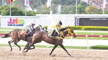 Aunque retorna a La Rinconada luego de 112 días My Unflagging Mate puede ser la sorpresa en los acumulados de la R41 Aunque retorna a La Rinconada luego de 112 días My Unflagging Mate puede ser la sorpresa en los acumulados de la R41