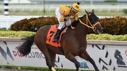 Juan Carlos Ávila por su primer Graded Stakes del año el sábado en Nueva York
