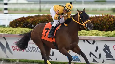 Juan Carlos Ávila por su primer Graded Stakes del año el sábado en Nueva York Juan Carlos Ávila por su primer Graded Stakes del año el sábado en Nueva York
