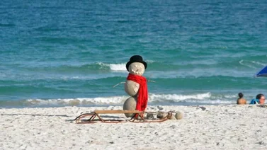 Invierno atípico en Florida: Esto es lo que tienes que saber