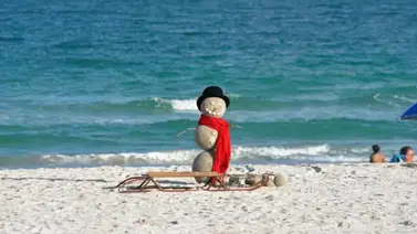 Invierno atípico en Florida: Esto es lo que tienes que saber Invierno atípico en Florida: Esto es lo que tienes que saber