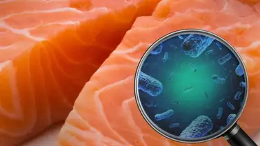 Retiran alimentos de 200 escuelas por contaminación con Listeria Retiran alimentos de 200 escuelas por contaminación con Listeria