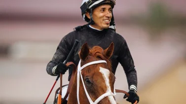 Ganador clásico de 19 carreras queda fuera de la Breeders´Cup por esta razón
