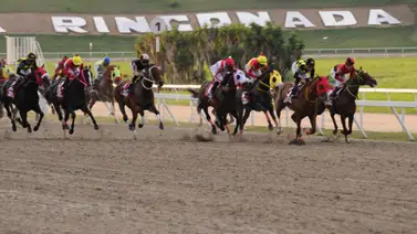 Conoce el increíble premio a pagar en el Clásico Internacional Simón Bolívar GI Conoce el increíble premio a pagar en el Clásico Internacional Simón Bolívar GI