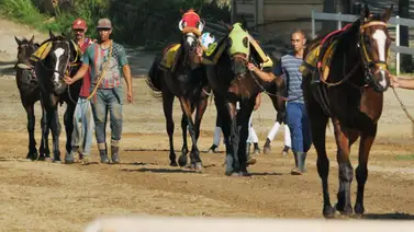 Conoce los tres primeros ejemplares retirados de la reunión 41 a celebrarse el próximo domingo en La Rinconada Conoce los tres primeros ejemplares retirados de la reunión 41 a celebrarse el próximo domingo en La Rinconada