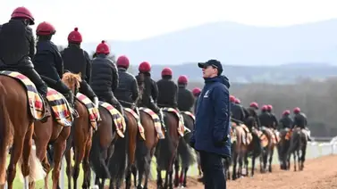 Aidan O’Brien con 15 caballos a la toma de la Breeders’ Cup 2024 Aidan O’Brien con 15 caballos a la toma de la Breeders’ Cup 2024