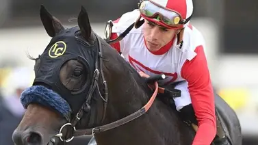 Estos son los 5 ejemplares suramericanos que participan en las Breeders´Cup Estos son los 5 ejemplares suramericanos que participan en las Breeders´Cup