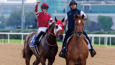 No vas a creer el número de ejemplares extranjeros que fueron inscritos a las Breeders´Cup