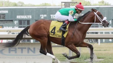 Mychel Sánchez gana dos y tiene el doble de victorias que Irad Ortiz Jr. en octubre
