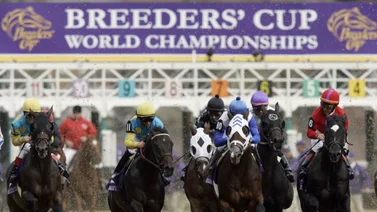 Récords de caballos inscritos para correr los 14 Stakes de la Breeders’ Cup 2024
