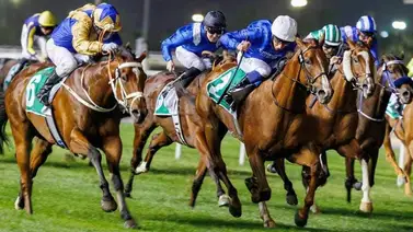 Aplican 6 años de suspensión a entrenador de purasangres en este circuito hípico Aplican 6 años de suspensión a entrenador de purasangres en este circuito hípico