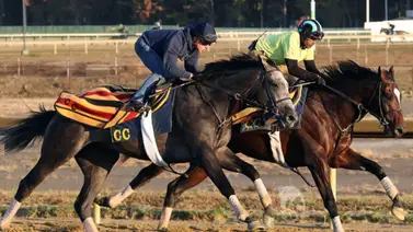 El Empire Showcase Day con 8 stakes y $1.600.000 por repartir este domingo en Aqueduct El Empire Showcase Day con 8 stakes y $1.600.000 por repartir este domingo en Aqueduct