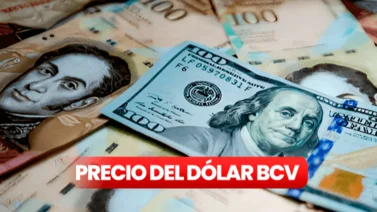 Dólar BCV para el viernes 25 de octubre según Banco Central de Venezuela 