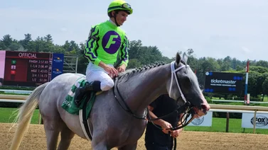 Caballo campeón de distancias largas en Estados Unidos va a la Breeders´Cup Classic