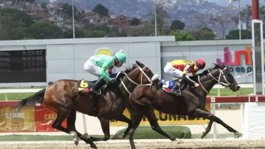 ¡A todo galope! La jornada dominical de La Rinconada te espera en MeridianoBet