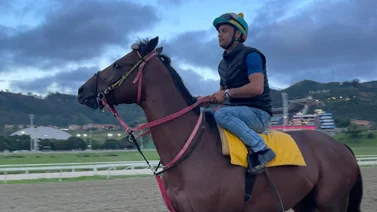 Conoce lo que dice el jockey argentino Gustavo Calvente de Tuco Salamanca de cara al Clásico Internacional Simón Bolívar (+Video)