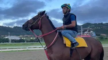 Conoce lo que dice el jockey argentino Gustavo Calvente de Tuco Salamanca de cara al Clásico Internacional Simón Bolívar (+Video) Conoce lo que dice el jockey argentino Gustavo Calvente de Tuco Salamanca de cara al Clásico Internacional Simón Bolívar (+Video)