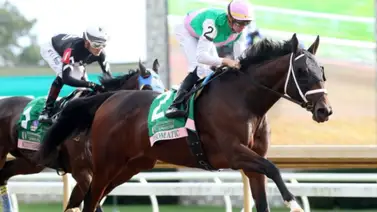 La yegua campeona queda fuera de la Breeders´Cup Distaff La yegua campeona queda fuera de la Breeders´Cup Distaff