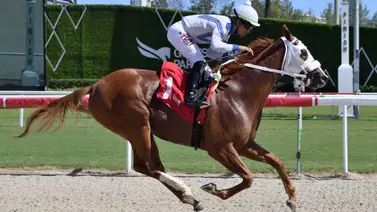 Jockey venezolano sorprende con doblete y llega a cifra redonda de victorias en el año Jockey venezolano sorprende con doblete y llega a cifra redonda de victorias en el año