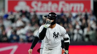 MLB: Vea cómo un fanático evita un posible jonrón de Gleyber Torres en la última entrada (+video)