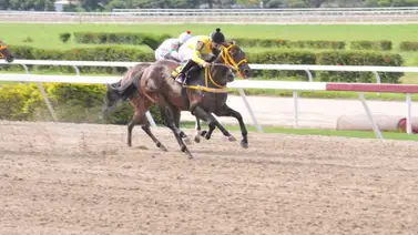 Retirado favorito que podía pagar muy bien el 5y6 este domingo en La Rinconada Retirado favorito que podía pagar muy bien el 5y6 este domingo en La Rinconada