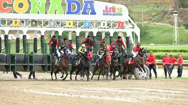 Retirado ejemplar que podía sorprender en las no válidas Retirado ejemplar que podía sorprender en las no válidas