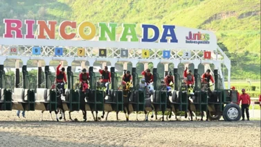  Estos son los retirados de la Reunión N°41 en La Rinconada 21-10-2024